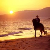 Horse riding on the beach